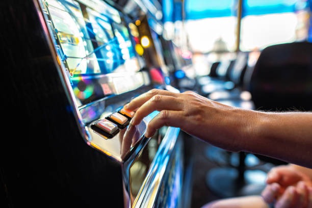 vartoto What's Inside Our Slots